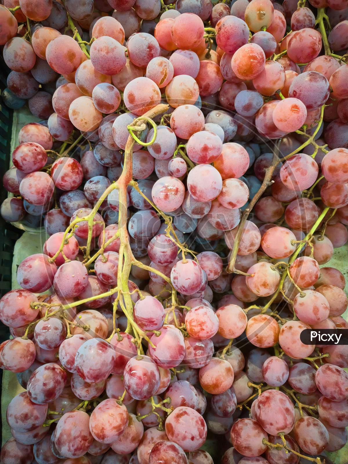 Red Grapes For Sale In Market