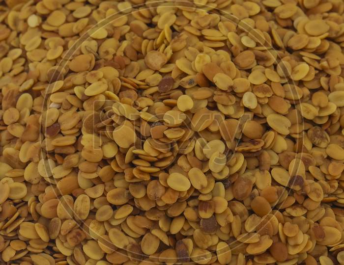 Fresh And Healthy Coriander Seed