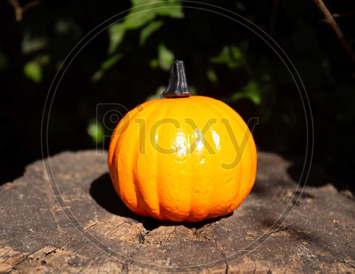Highlighted Orange Pumpkin Resting On Tree Stump With Ivy Behind.  Concept For Halloween Background
