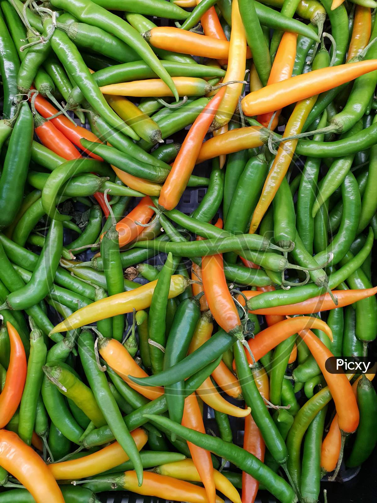 Green Hot Chili Peppers, Closeup View And For Sale In Market