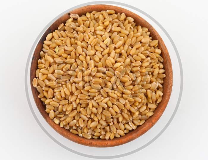 Fresh And Healthy Wheat Grains