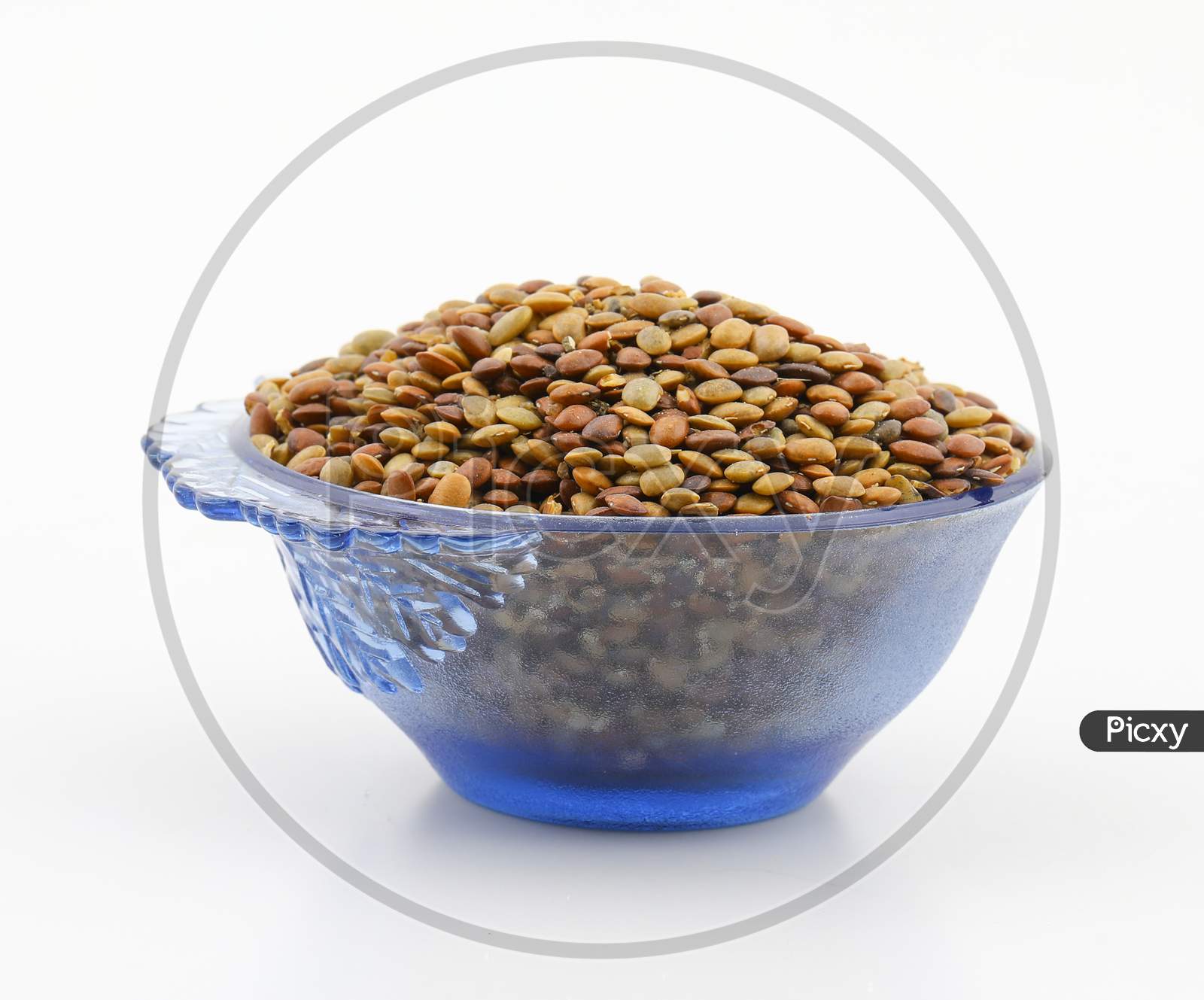 Fresh And Healthy Red Lentil Seeds