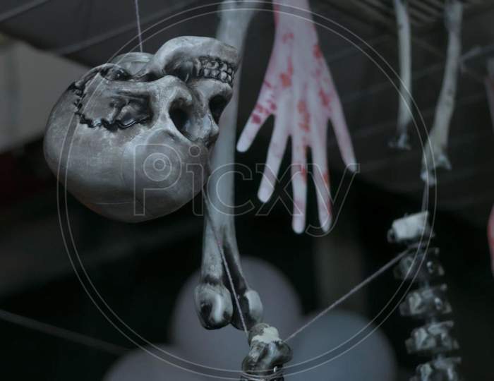 This picture shows a head skeletal on Halloween