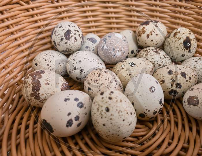 Quail Eggs On Basket, Eco Product. Close-Up View