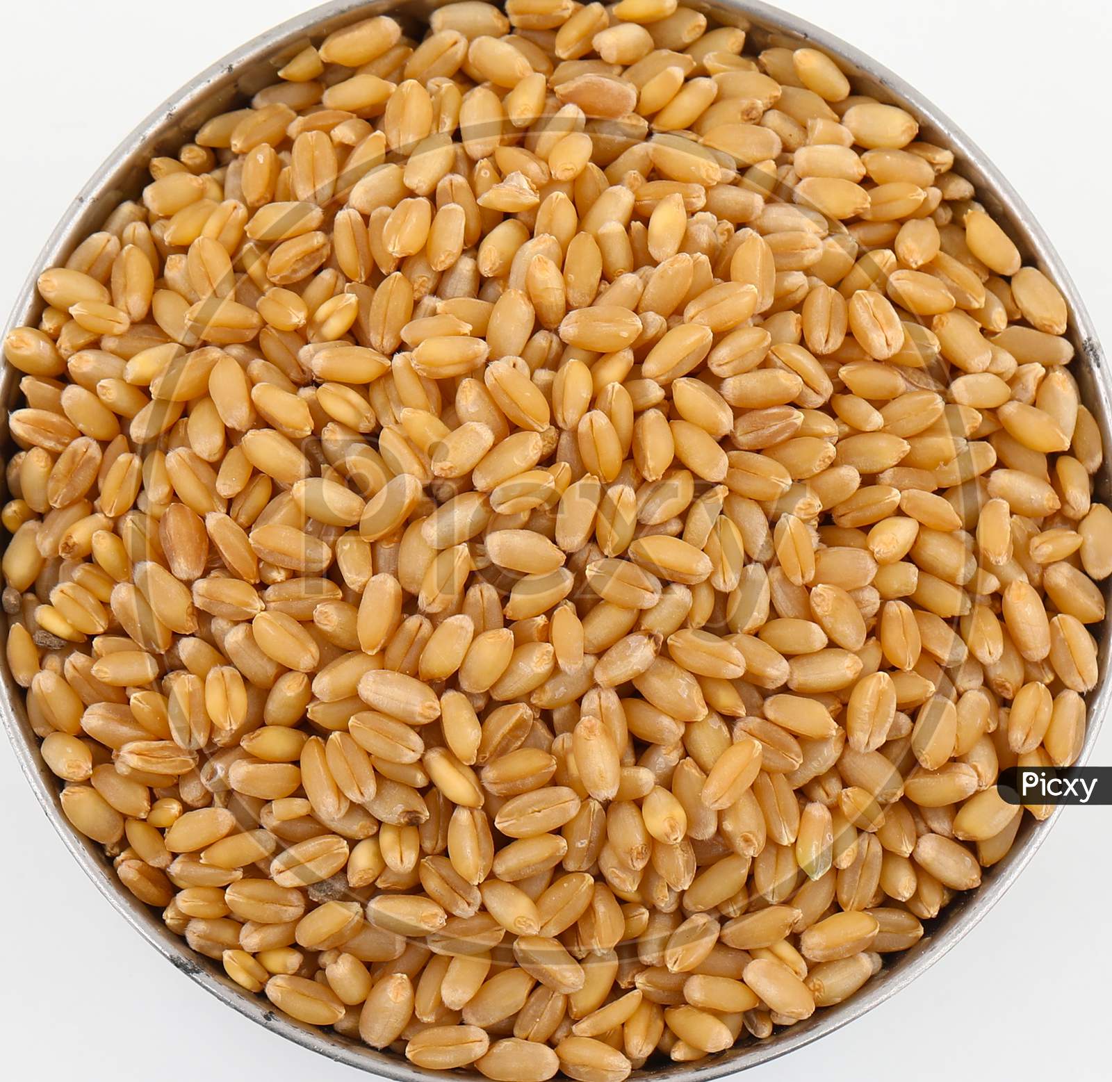 Fresh And Healthy Wheat Grains
