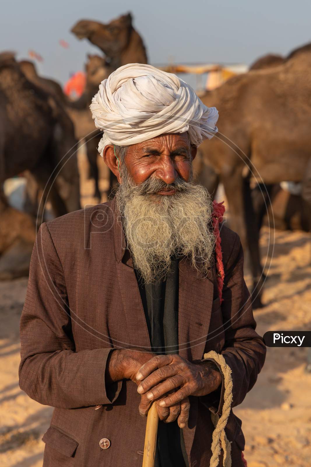 Portrait of an old Indian man wearing a turban and long grey beard