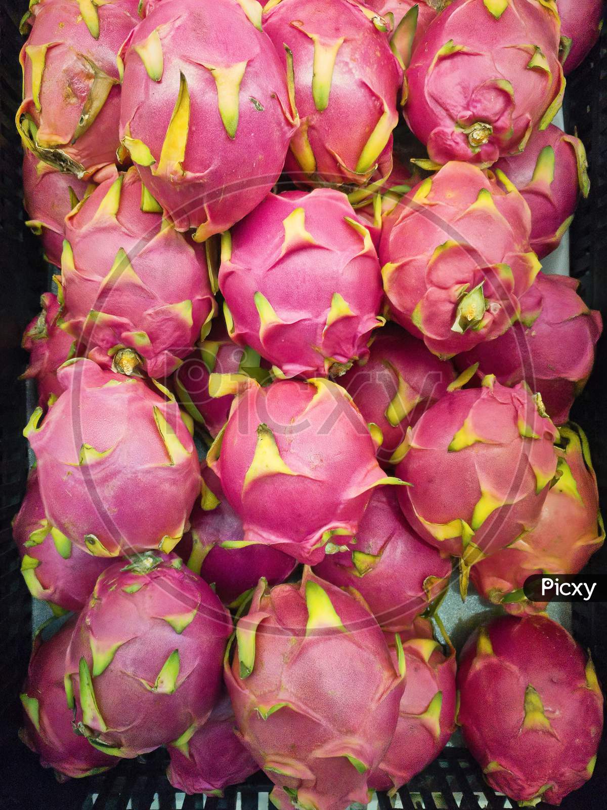 Dragon Fruits For Sale In Market