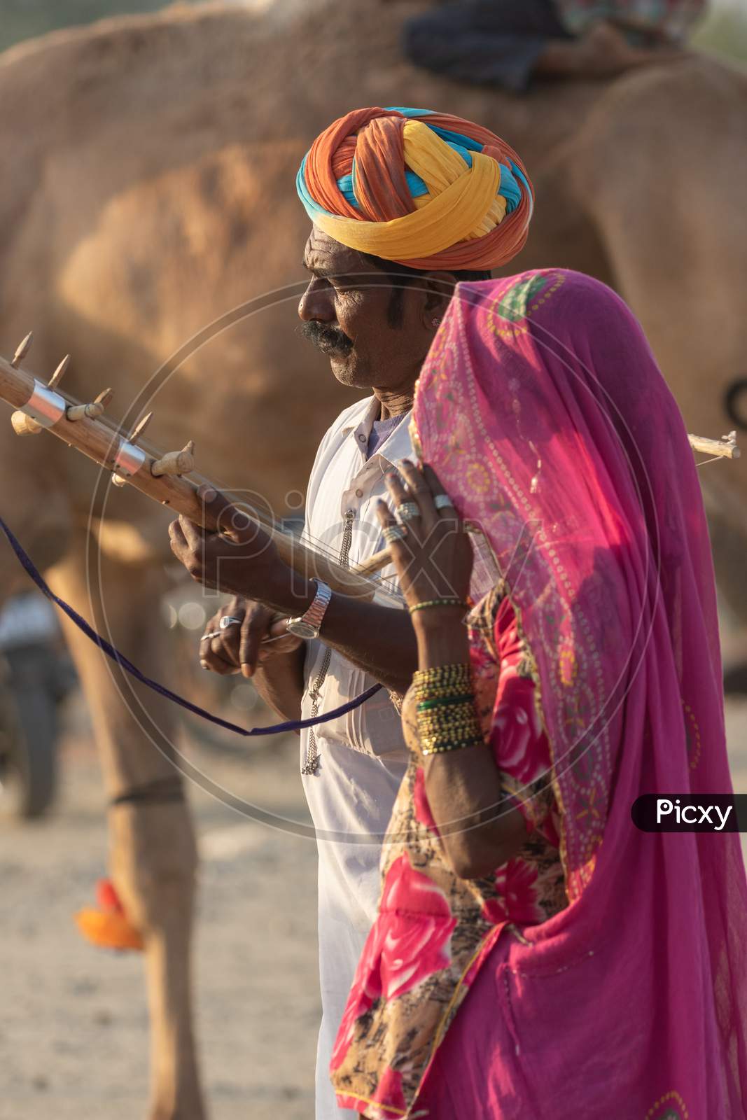 A man along with a women dressed in traditional rajasthani clothes playing musical instrument violin at Pushkar festival at Pushka