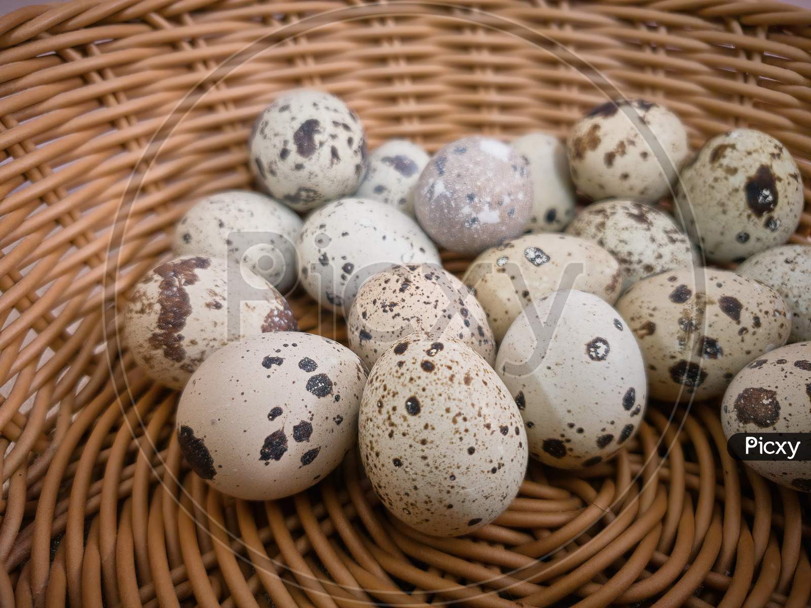 Quail Eggs On Basket, Close-Up View