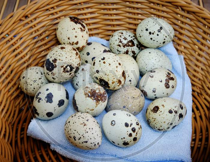 Quail Eggs On Basket, Eco Product