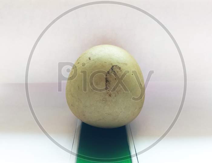 Egg shaped stone