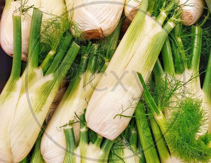 Fennel Bulb With Leaves For Sale In Market