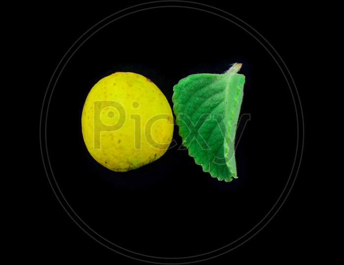 Lemon and green leaf