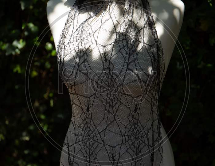 Black Spider Web Veil Draped From Halloween Black Roses On White Manikin Set Against Ivy Background