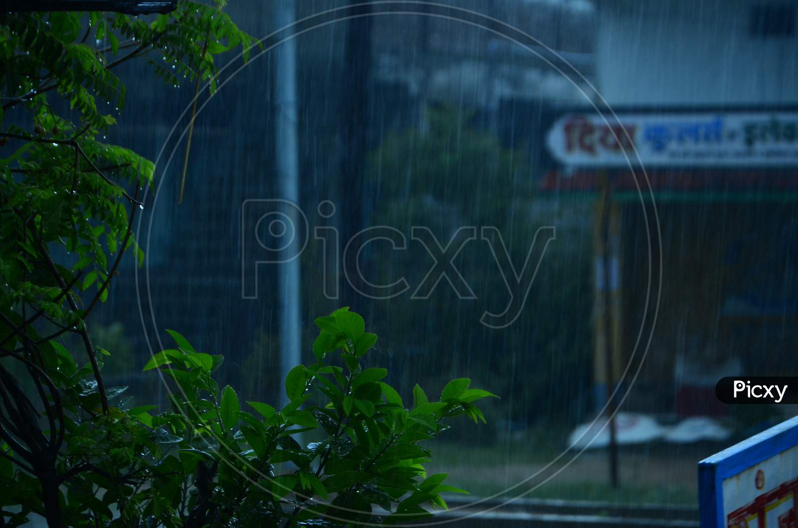 Image of Rainy sessons-CW435158-Picxy