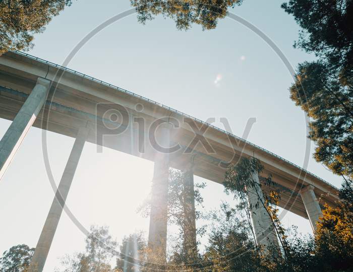 Colorful Bridge Image From Below During A Bright Day With Trees And Copy Space During Autumn