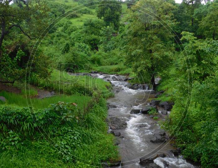 Nature at it's best during Mansoon in India