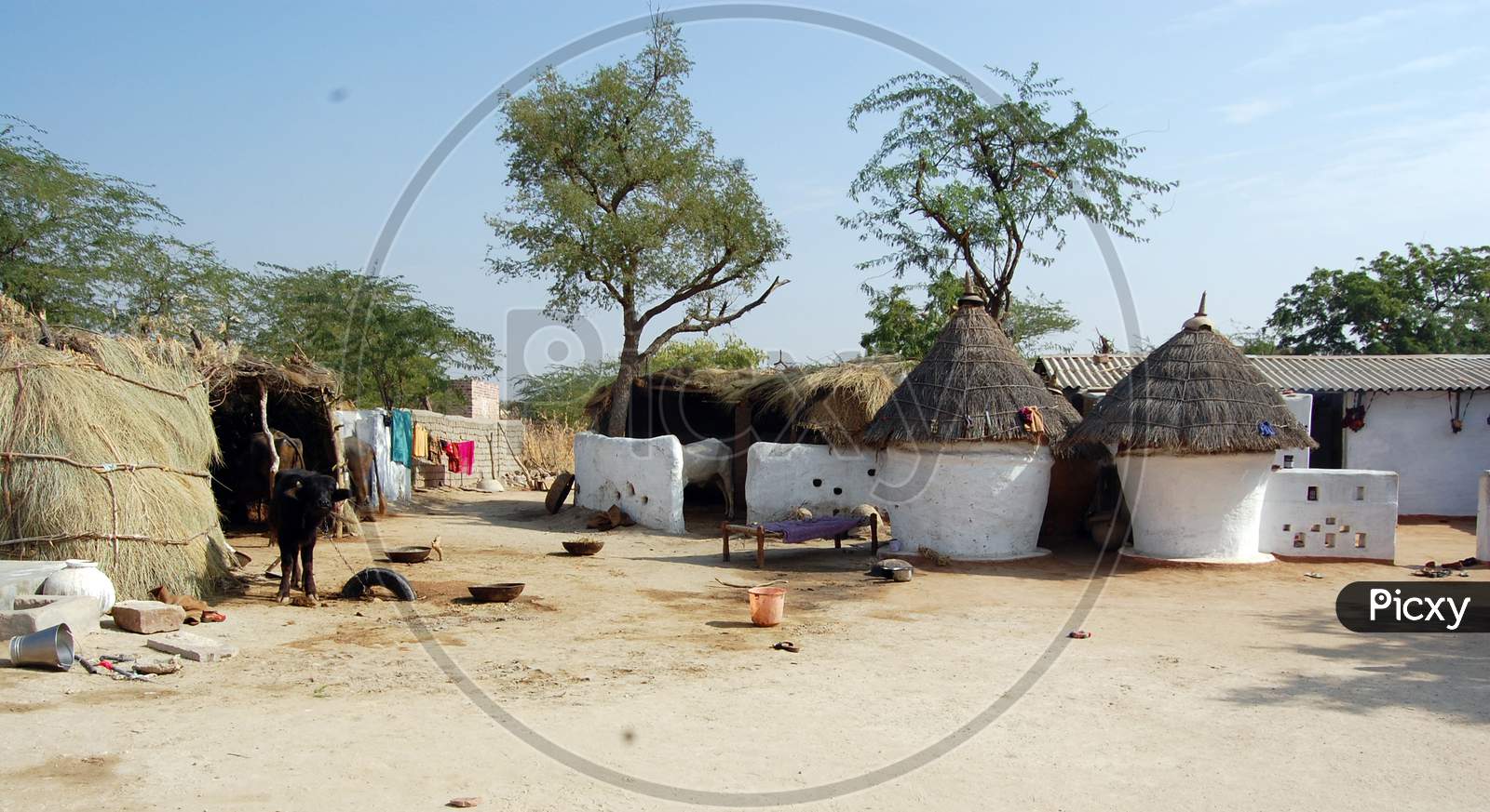 Hut Of Indian Village