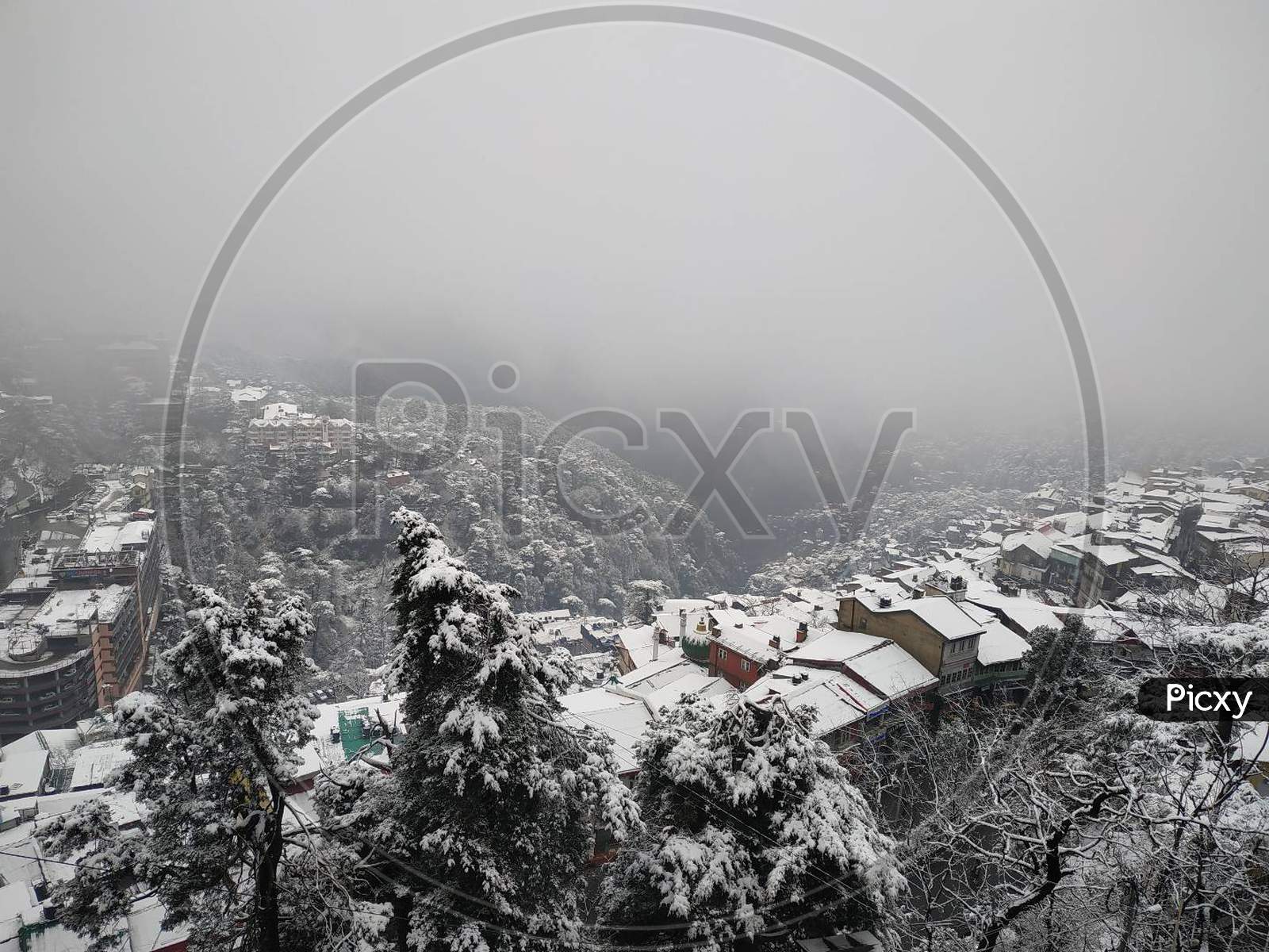 Shimla in snow