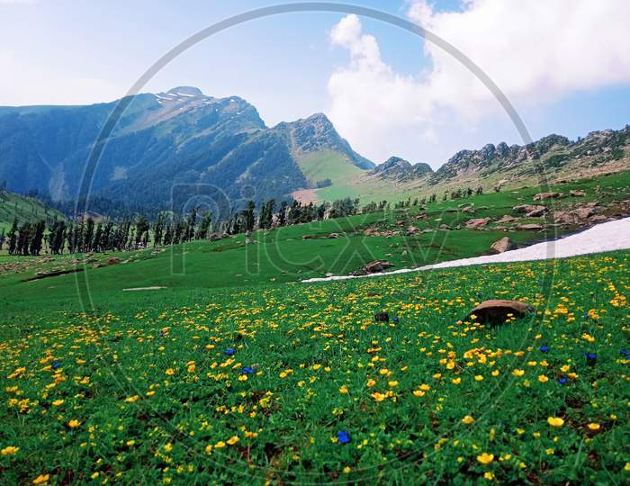 Landscape picture of sloped meadow of nawan banihal
