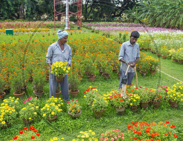 Gardeners are busy watering the flower plants for the Dasara festival inside Ambavilas Palace premises in Mysuru of Karnataka/India.