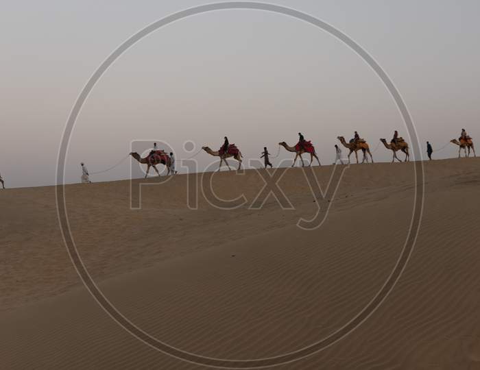 A line of camels walking on Sam sand dunes with people siting on them