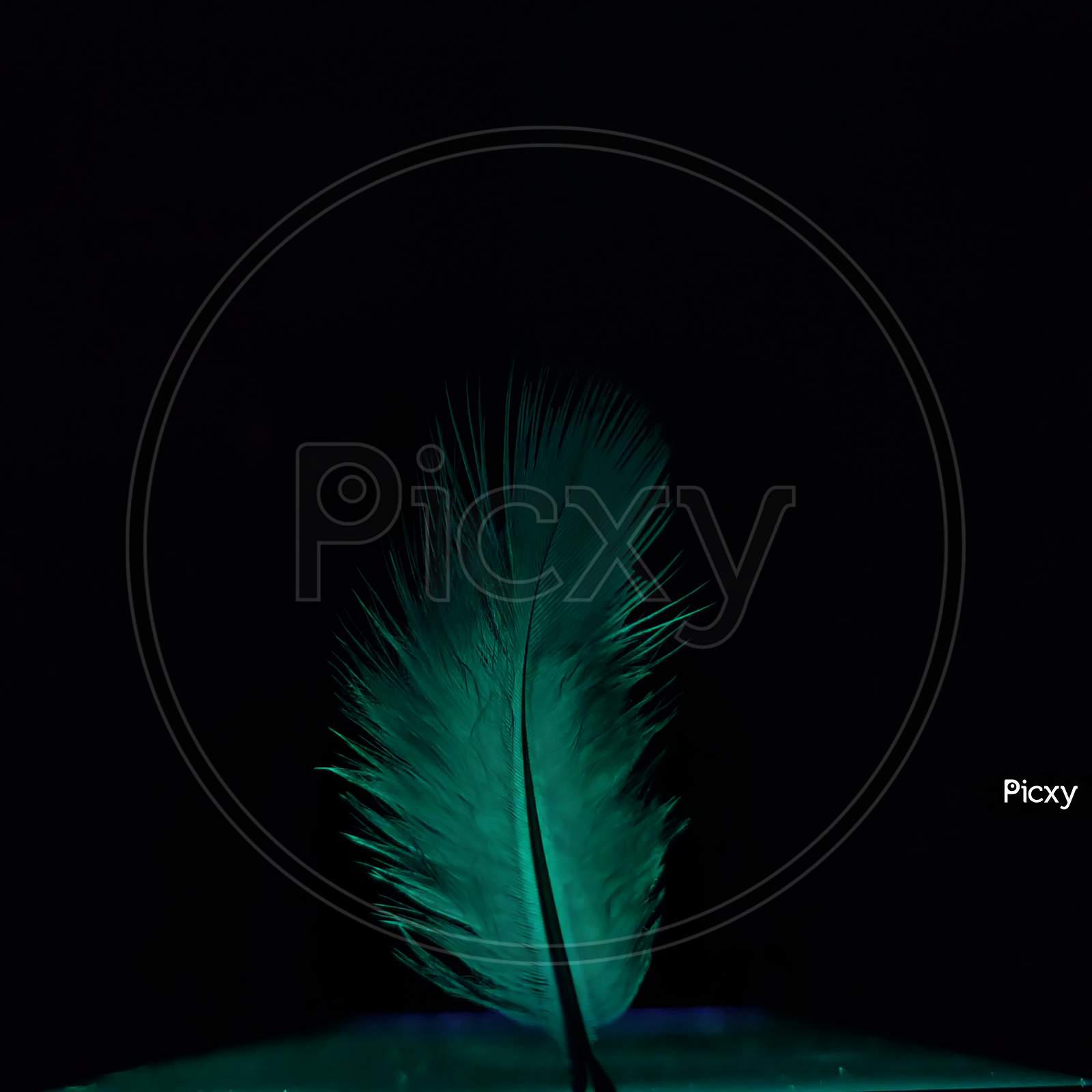 Feather, Green, Phone, Reflection