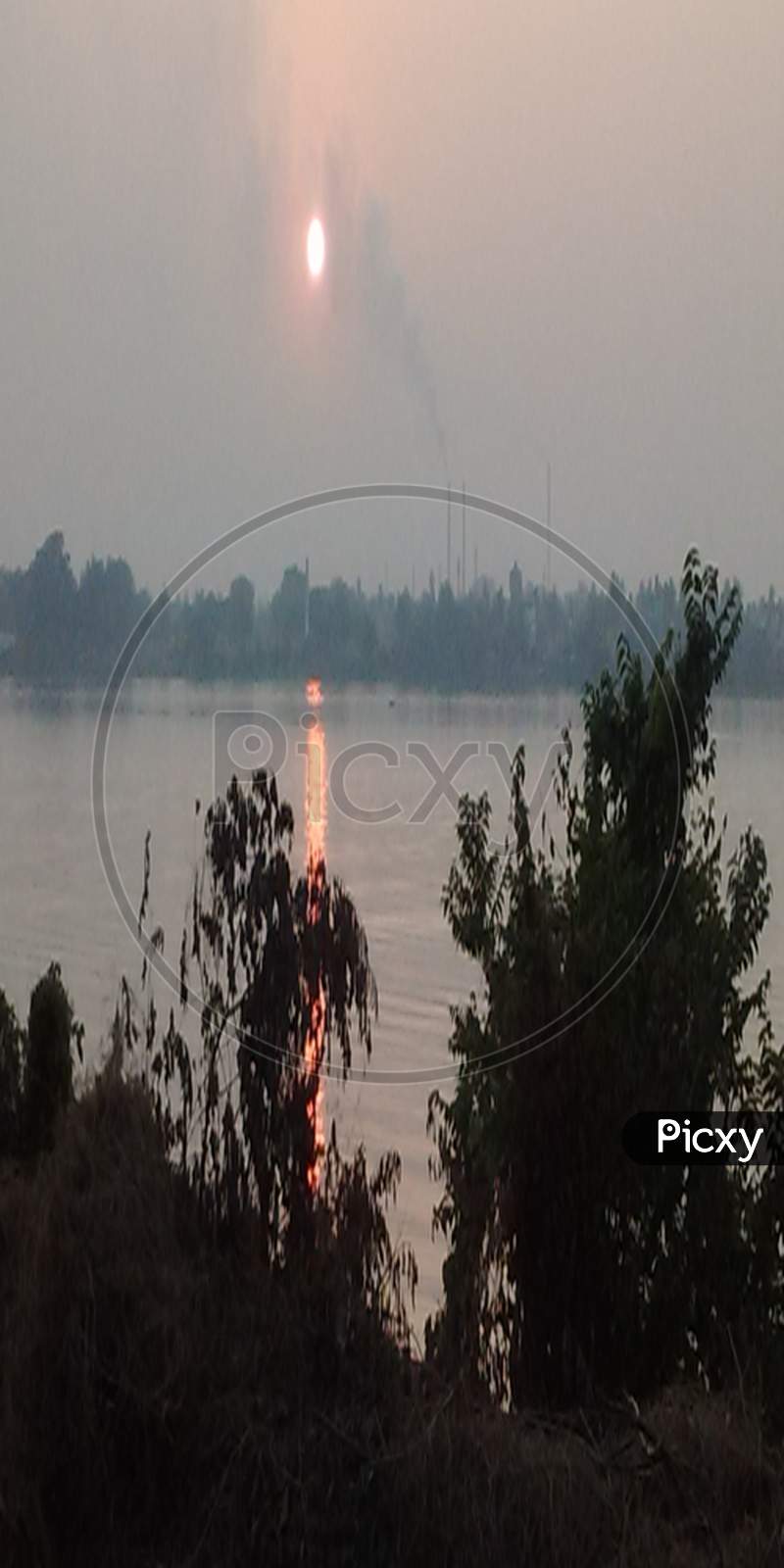 sunset,tree, evening, sky, reflection, river,hooghly river, riverside