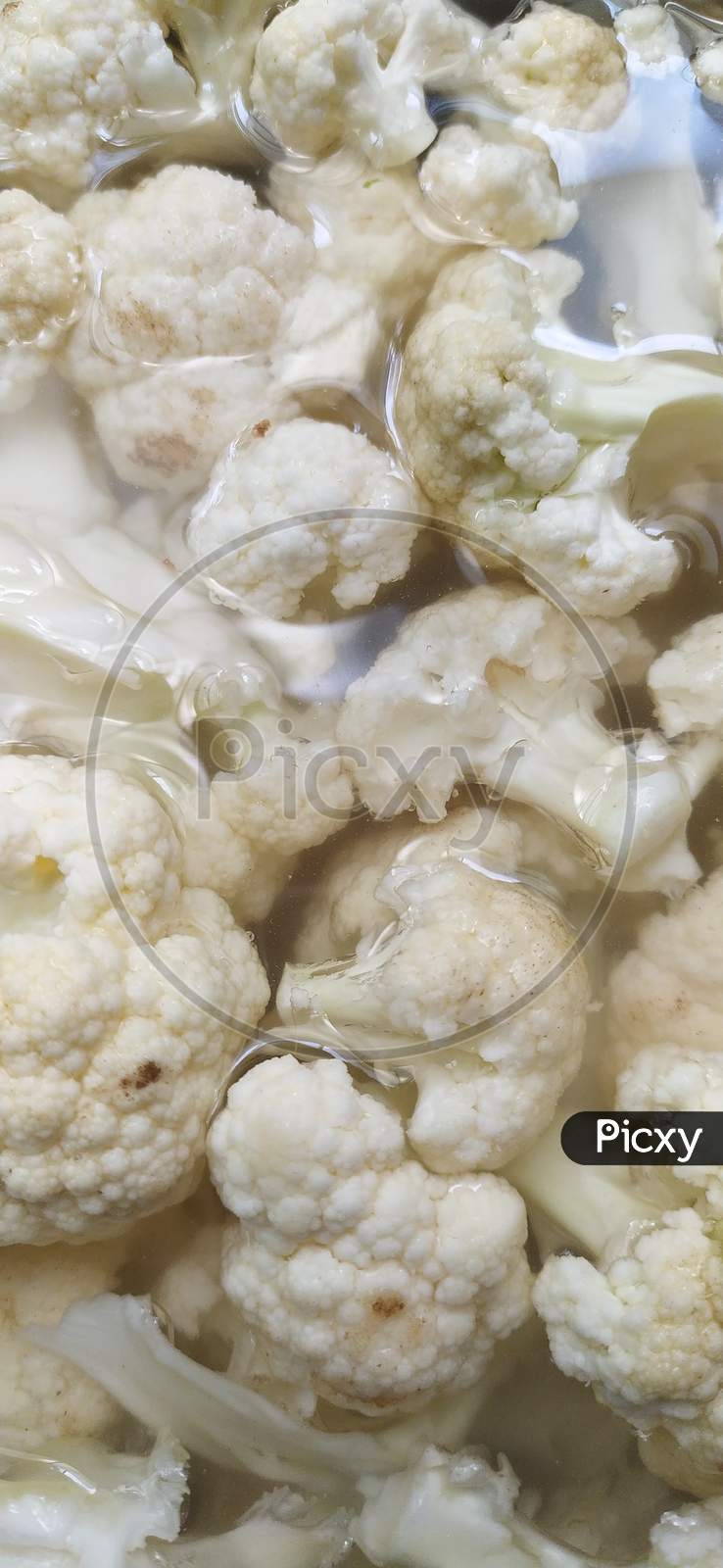 Closeup View Of Chopped And Rinsed White Cauliflower , Viewed From Above
