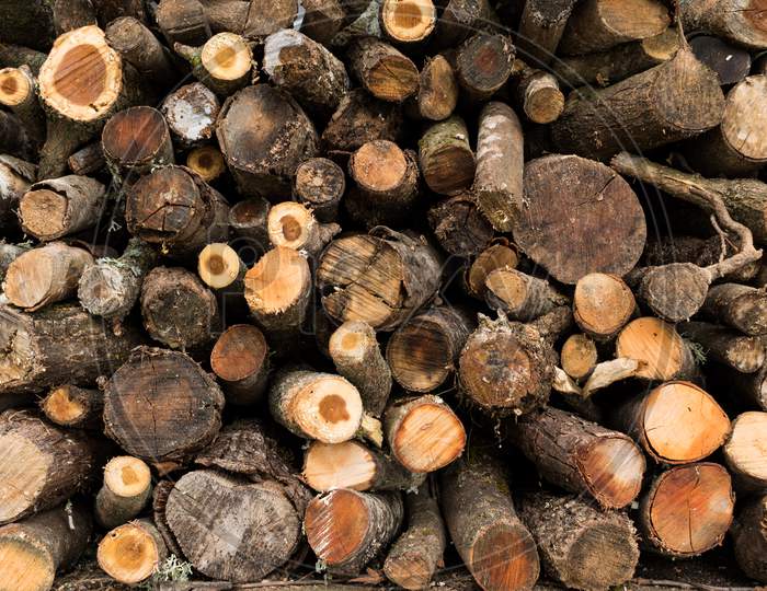 Background Of Dry Chopped Firewood Logs Stacked Up On Top Of Each Other In A Pile.