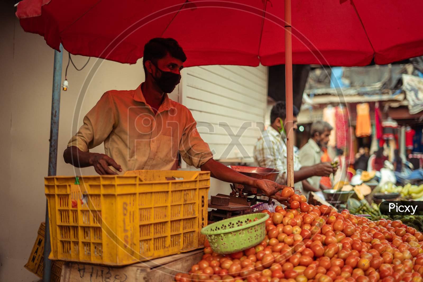 selling tomato at local market of mumbai (happiness is everywhere)