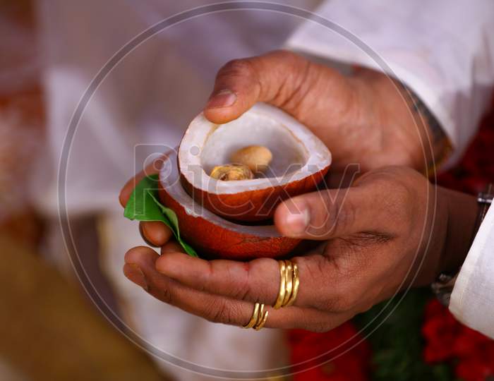 A Indian bridegroom holding piece of coconut in his hands, rituals of traditional hindu wedding