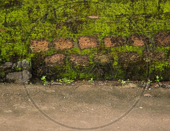 Brick Wall Covered With Moss By The Road