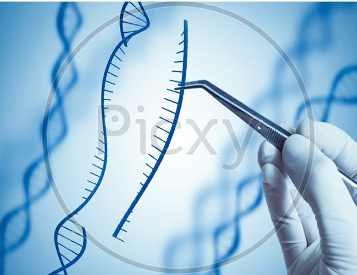 DNA EDITING