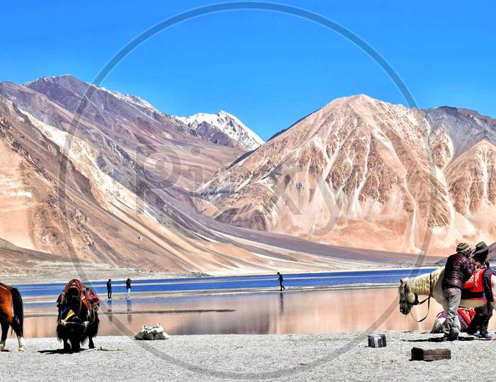 Beauty of Ladakh