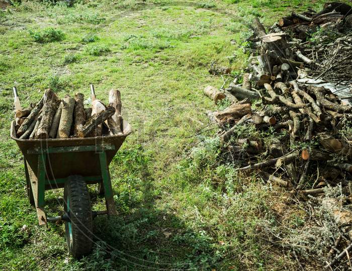 An Old Rusty Wheelbarrow Loaded With Dry Chopped Firewood In A Pile Stands On The Ground Against A Background Of Stacked Logs And Green Grass.