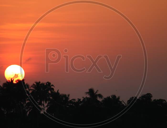 sunset photography with coconut trees