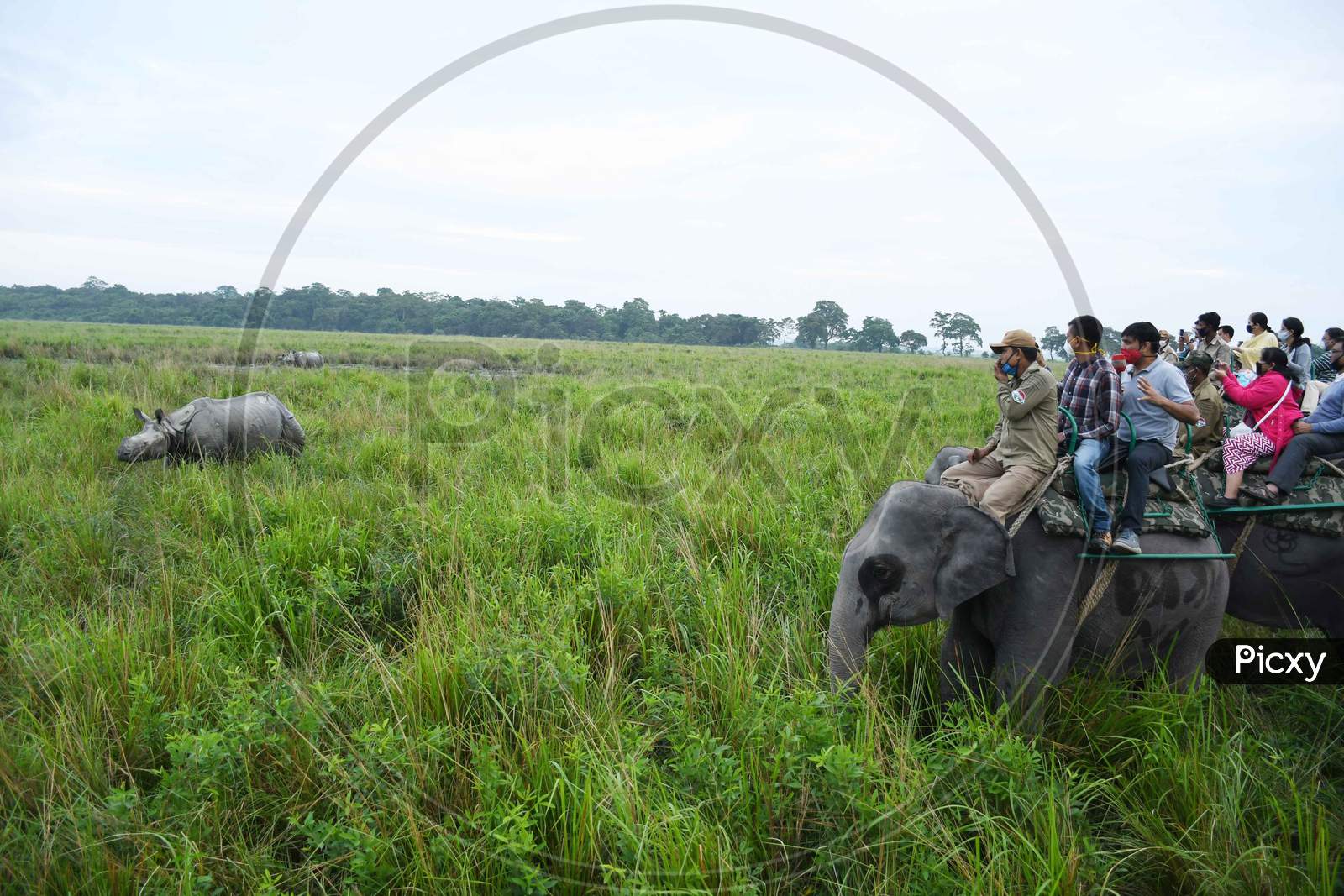 Tourists riding on elephants take pictures of a one horned rhinoceros at the Kaziranga National Park  in Golaghat District of Assam  , Sunday, Nov. 1, 2020.