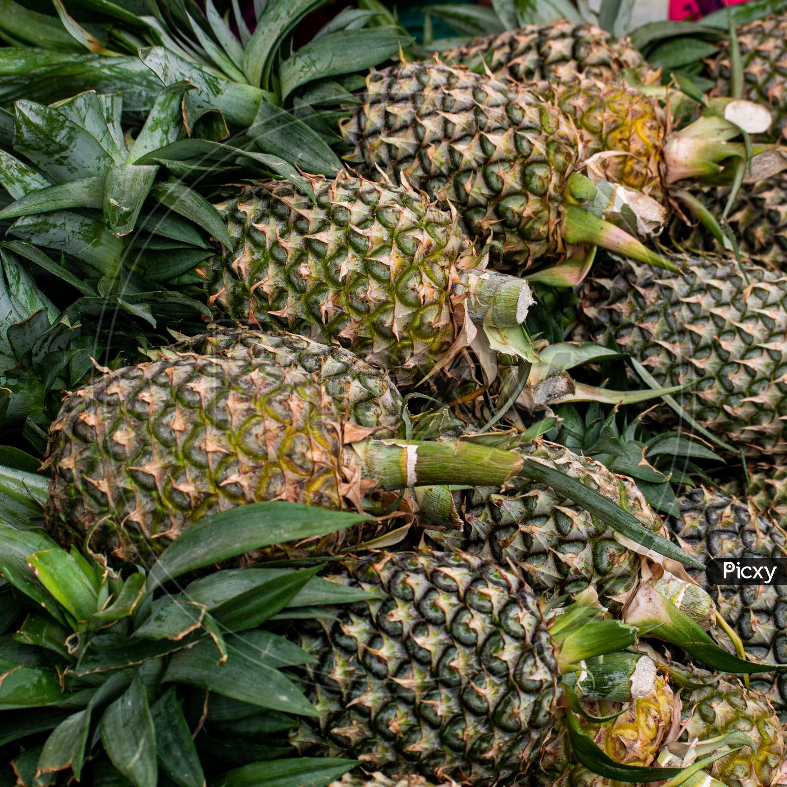 fresh & delicious organic Pineapples