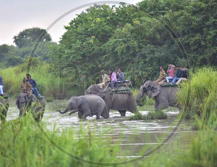 Tourists ride on elephants after the safari restarted following being shut since March due to the COVID-19 pandemic, at Kaziranga National Park in Golaghat District, Sunday, Nov. 1, 2020.