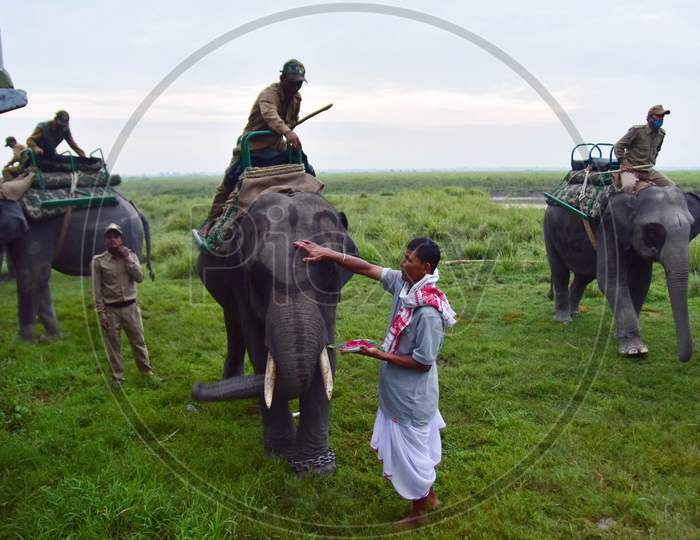 A priest puts a "tilak" on a elephant  before the start of an elephant safari at Kaziranga National Park in Assam after seven-month-long closure since March because of coronavirus lockdown  at the Kaziranga national park  in Golaghat District of Assam on Nov 1,2020