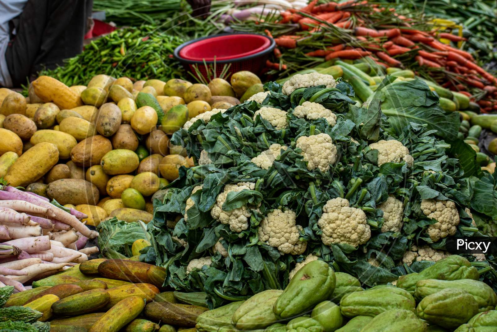 image-of-different-types-of-pure-organic-and-healthy-indian-vegetables