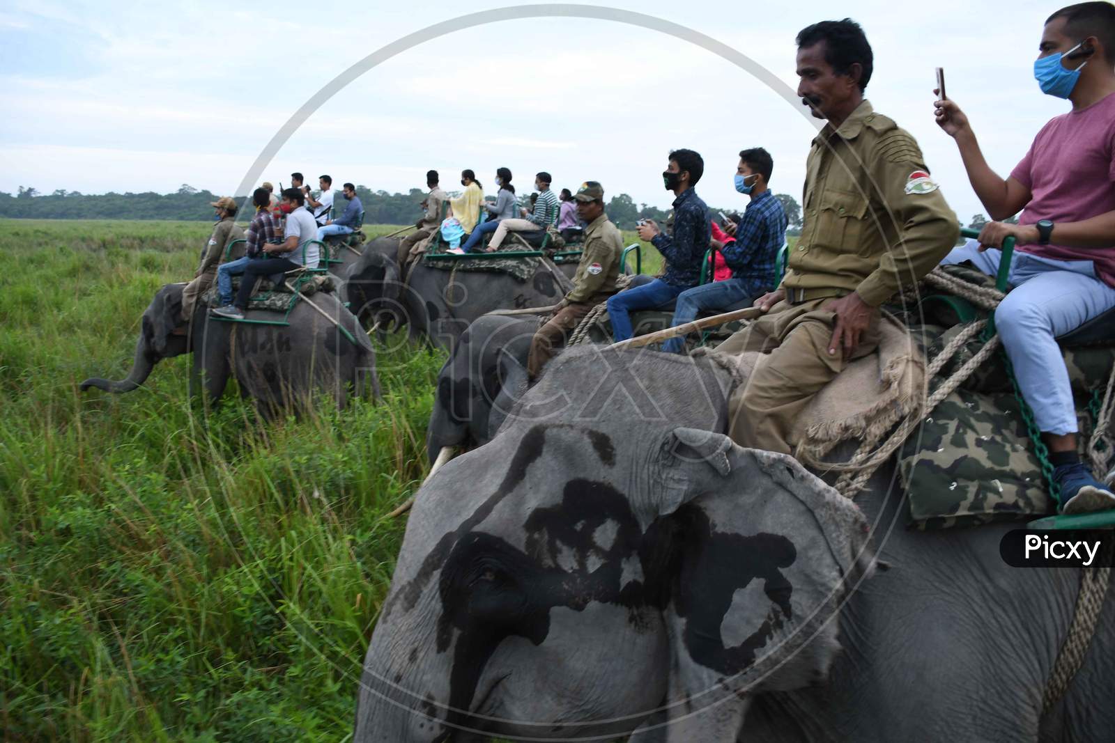 Tourists ride on elephants after the safari restarted following being shut since March due to the COVID-19 pandemic, at Kaziranga National Park in Golaghat District, Sunday, Nov. 1, 2020.