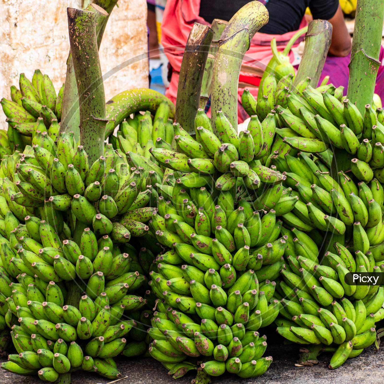 A bunch of fresh organic & tasty Bananas