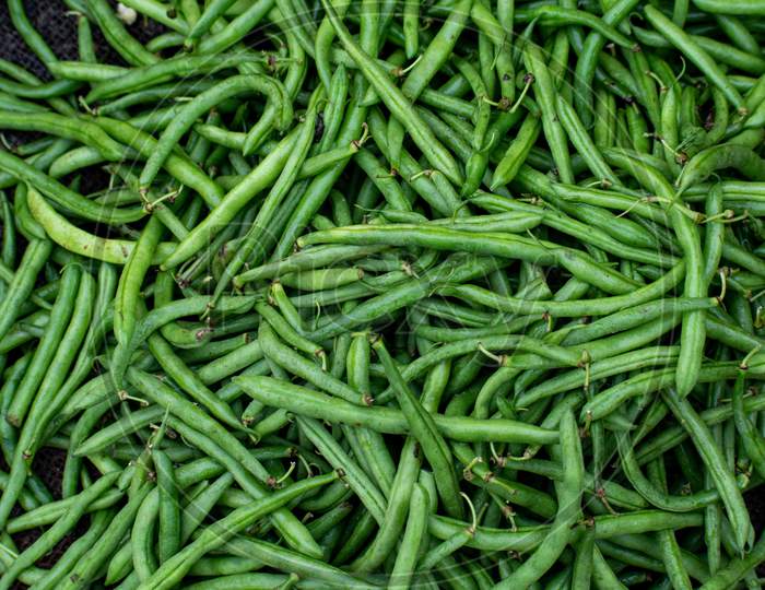 fresh organic Green Beans