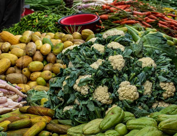 Different types of pure organic and healthy Indian vegetables