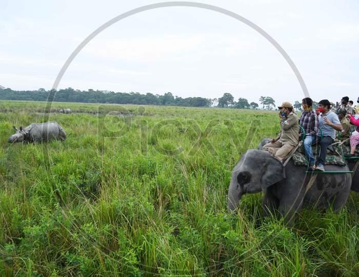 Tourists riding on elephants take pictures of a one horned rhinoceros at the Kaziranga National Park  in Golaghat District of Assam  , Sunday, Nov. 1, 2020.