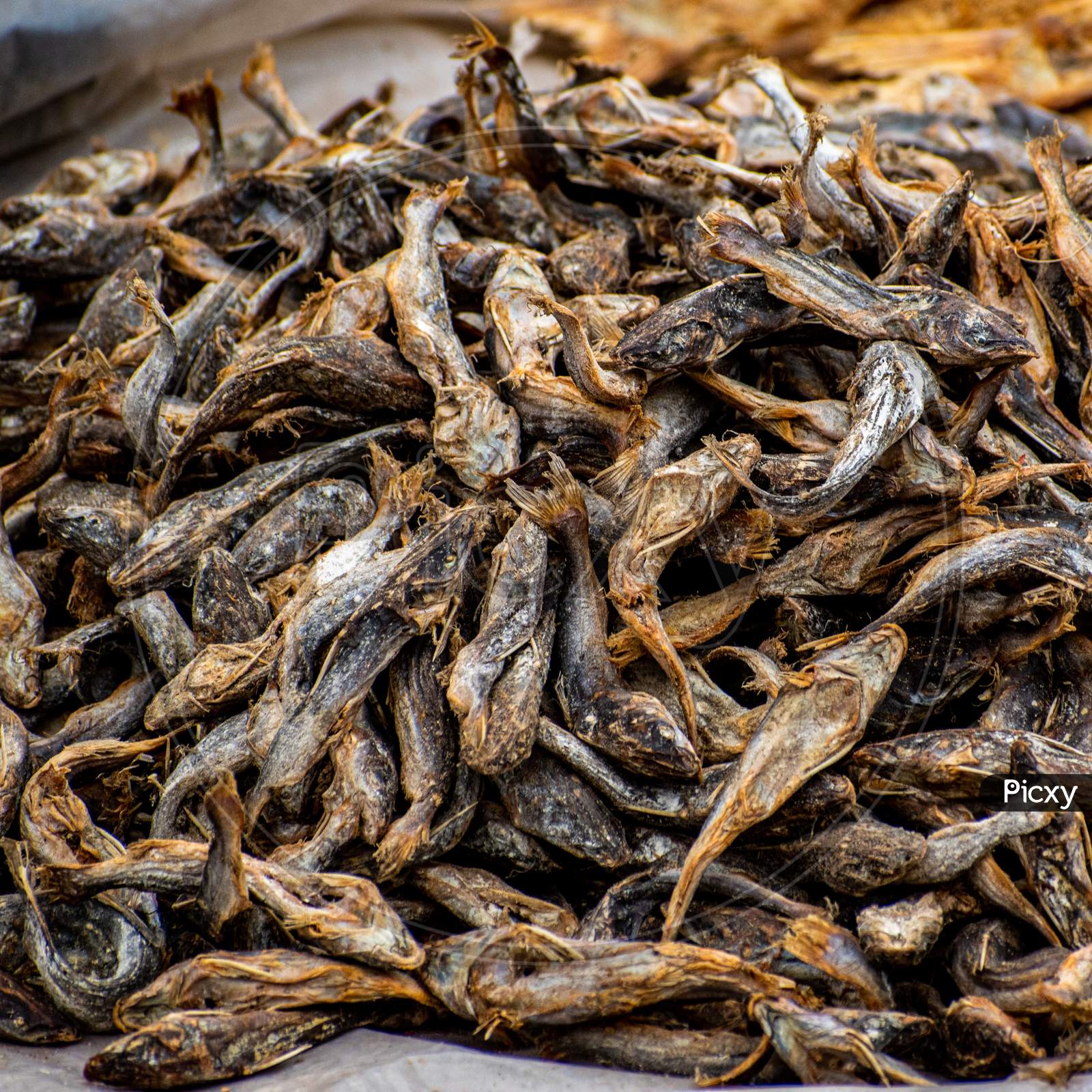 Delicious Dried fishes