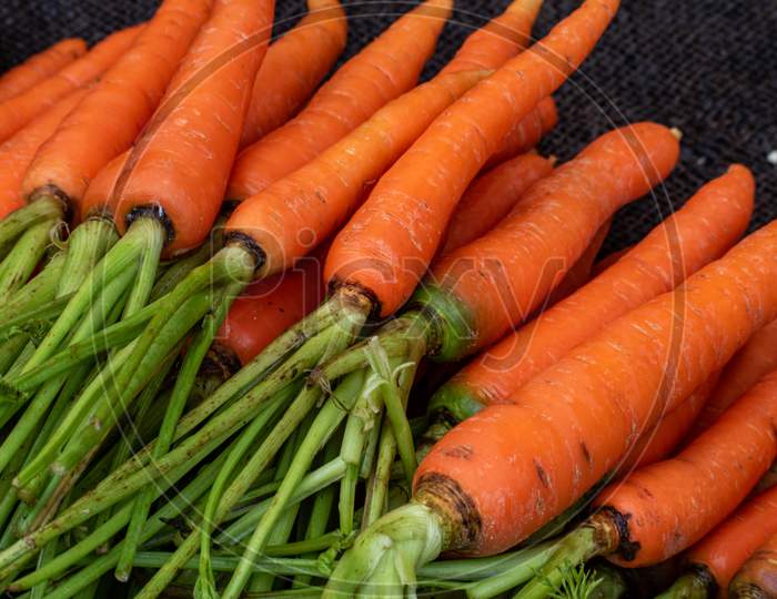 fresh organic Carrots