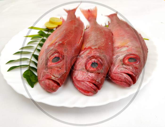 Fresh Finned Bulls Eye Fish (Priacanthus Hamrur)/ Moontail Bullseye Fish,Decorated With Lemon Slice And Curry Leaves ,White Background.